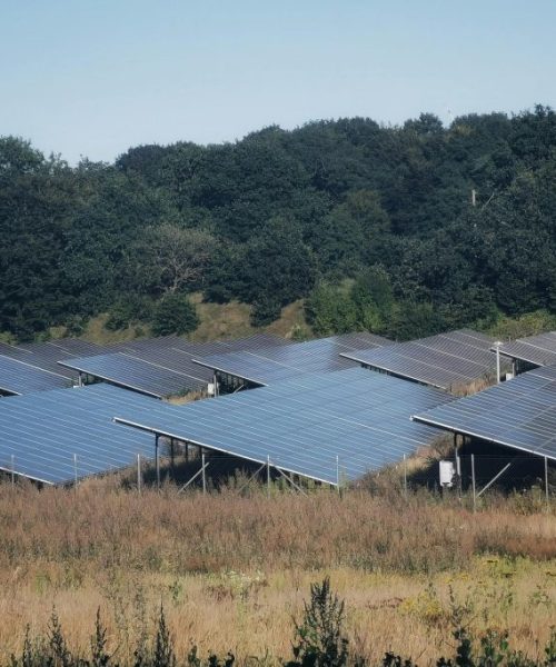 pexels-talal-33537433